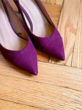 Zara Plum Pointed-Toe Heels
